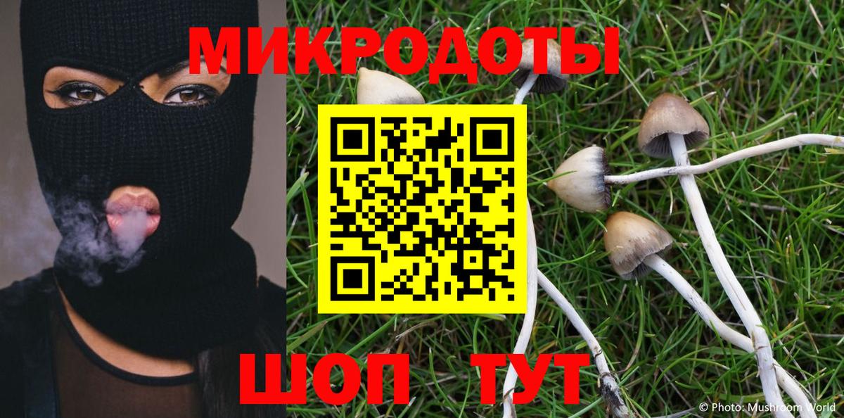 Галлюциногенные грибы Magic Shrooms Кулебаки